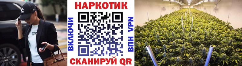 Купить наркотик Короча Марихуана  hydra вход  АМФ  ТГК  ГАШИШ  Меф мяу мяу 