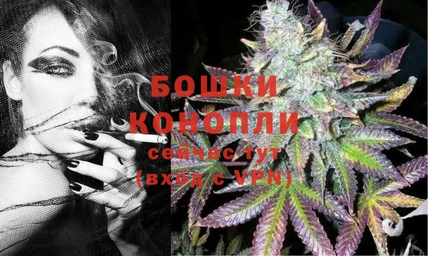 дмт Белокуриха