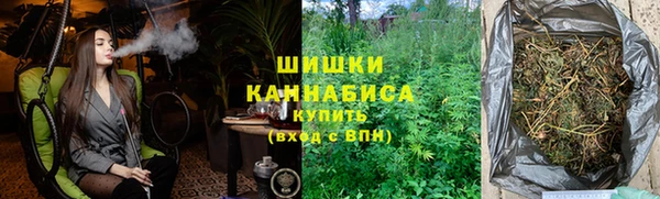 дмт Белокуриха