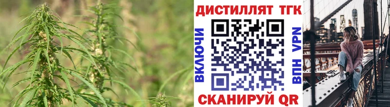 наркошоп  Короча  ТГК жижа 